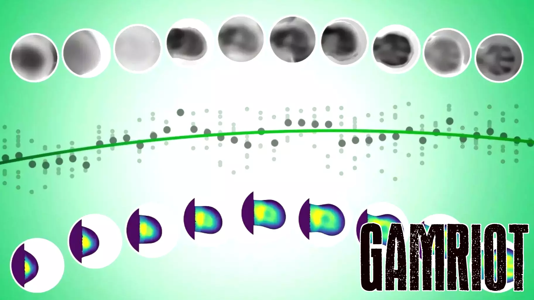 Innovative Video Game-Inspired Method Sheds Light on Limb Development