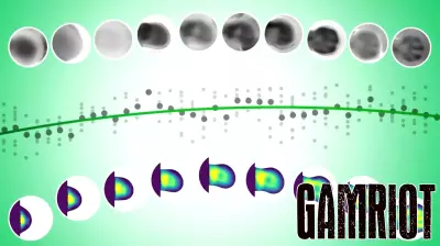 Innovative Video Game-Inspired Method Sheds Light on Limb Development